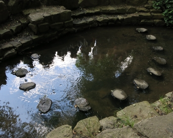 WasserdesLebens